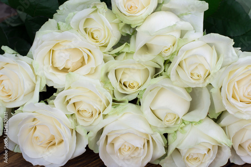 white roses © rm211171