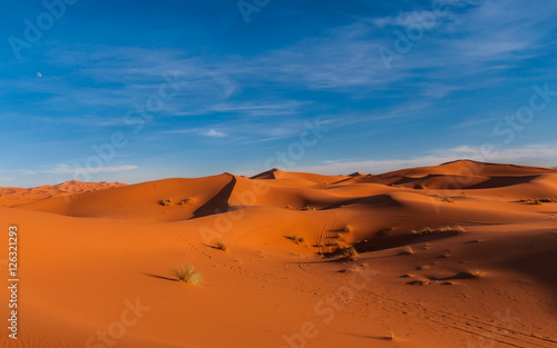 Abendstimmung   ber den D  nen der Sahara bei Merzouga  Erg Chebbi   Marokko