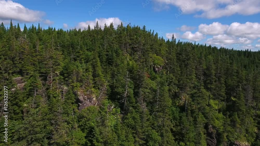 Aerial high shot of vast pine tree forest in Nova Scotia Canada Aerial high shot of vast pine tree forest in Nova Scotia Canada