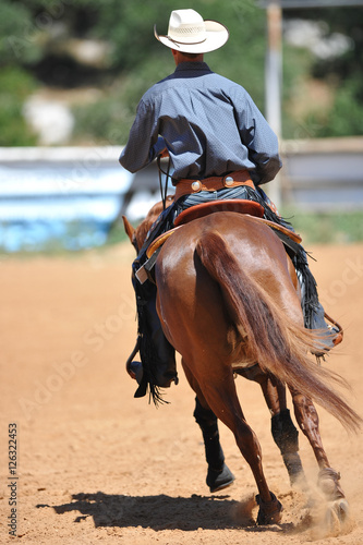 The rear close-up view of a rider on a horseback