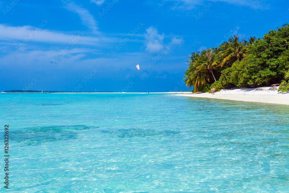 Palm trees leaning over sand beach, Maldives Palm trees leaning over sand beach, Maldives