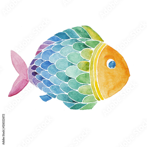Photography Rainbow fish watercolor painted