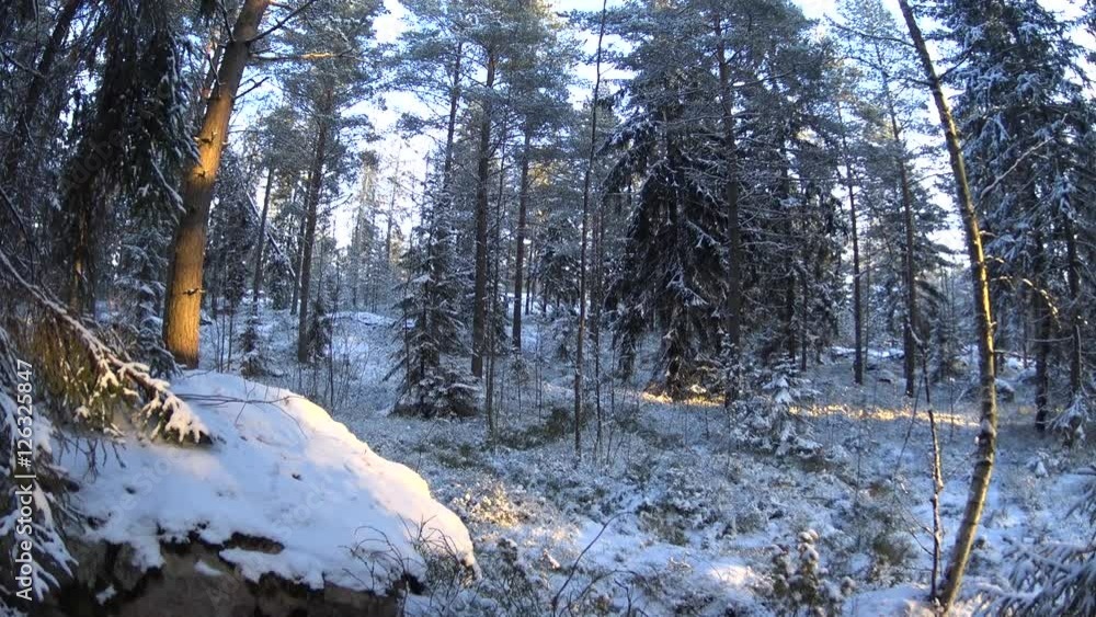Two kids are going down the snowing hill in winter forest on sunset Two kids are going down the snowing hill in winter forest on sunset