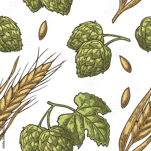 Seamless pattern from hop with leaf and Ear of barley.