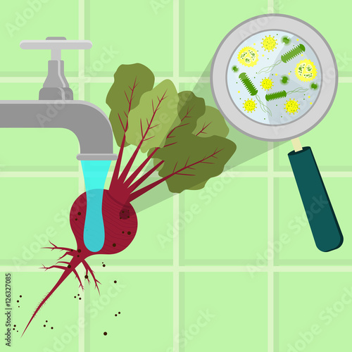 Contaminated beet tree being cleaned and washed in a kitchen. Microorganisms, virus and bacteria in the vegetable enlarged by a magnifying glass. Running tap water.