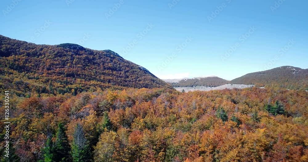 Aerial, Beautiful Autumn Colors In Velebit, Croatia - Graded and stabilized version..Watch also for the native material, straight out of the camera. Aerial, Beautiful Autumn Colors In Velebit, Croatia - Graded and stabilized version..Watch also for the native material, straight out of the camera.