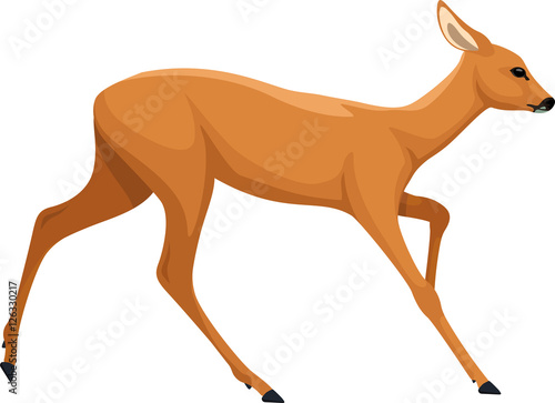 vector cute cartoon baby deer isolated on white