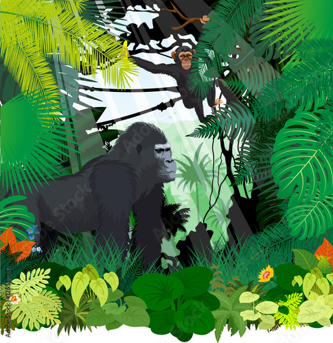 vector monkeys in jungle