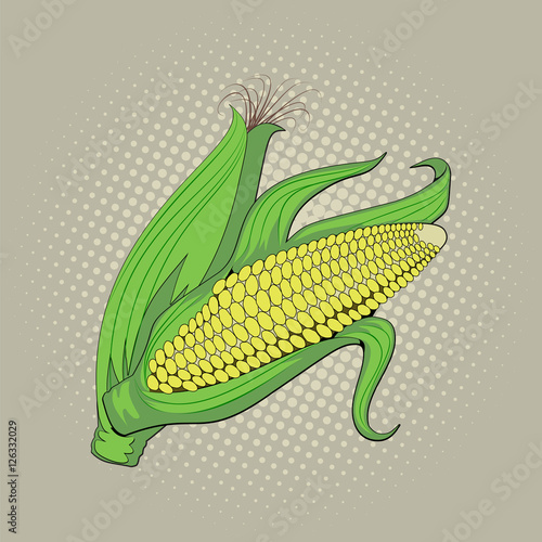 Ear of corn, pop art retro vector illustration