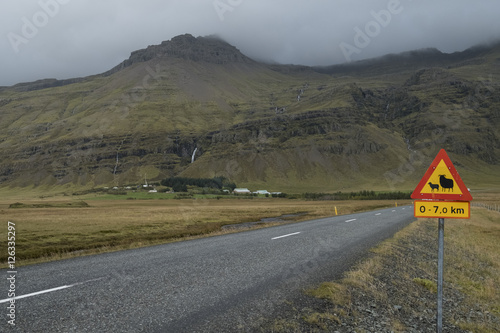 Sheep Highway Warning Sign, Iceland