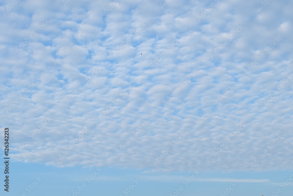 Beautiful blur blue sky and clouds sky