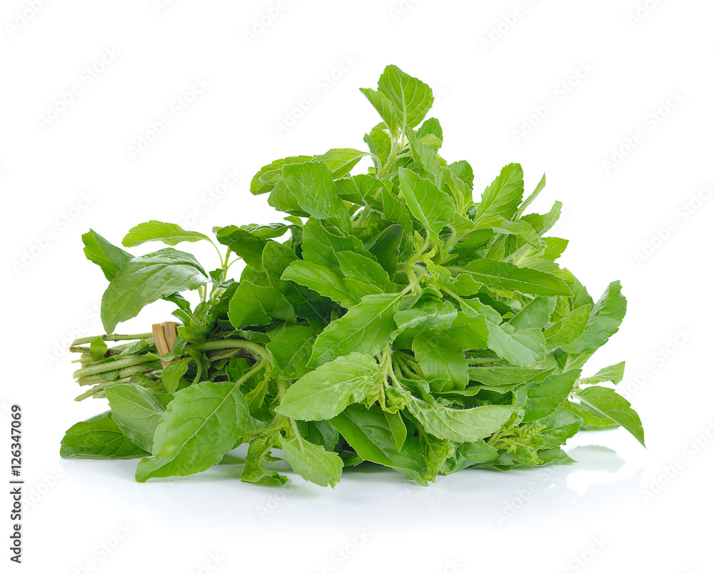 Obraz premium Basil leaves isolated on white background