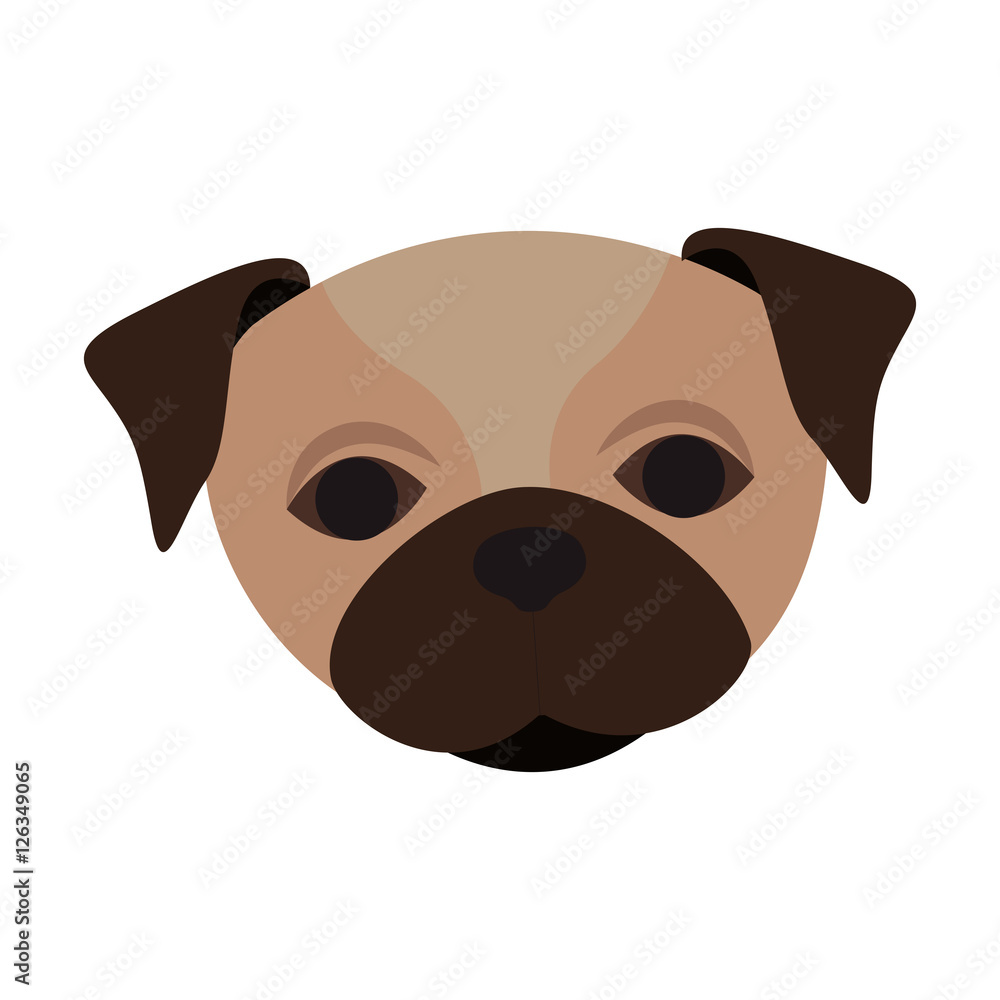 cute pug dog animal icon over white background. vector illustration