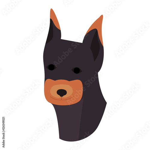 cute Doberman dog animal icon over white background. vector illustration