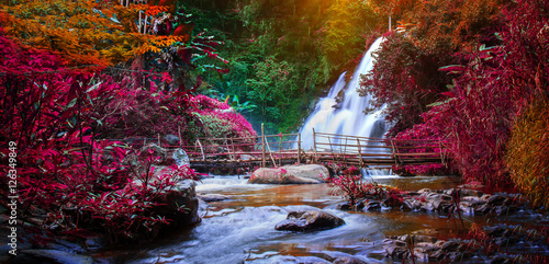 Waterfalls and colorful leaves