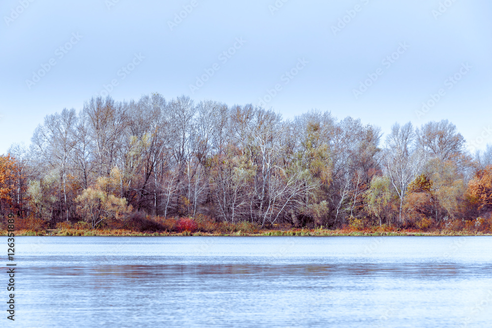 Trees close to the Dnieper river in autumn Trees close to the Dnieper river in autumn