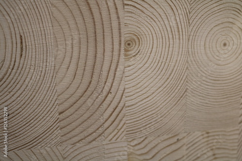 Wooden texture with growth rings