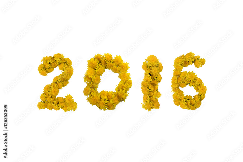Inscription 2016 made of yellow dandelions on a white background. Isolated Inscription 2016 made of yellow dandelions on a white background. Isolated
