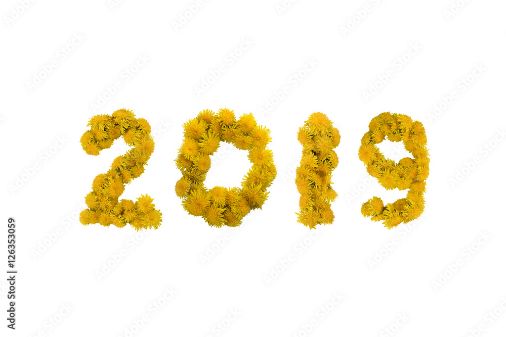 Inscription 2019 made of yellow dandelions on a white background. Isolated Inscription 2019 made of yellow dandelions on a white background. Isolated