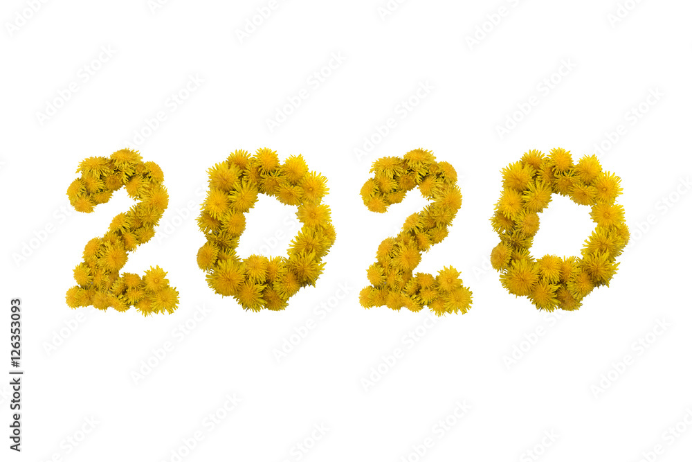 Inscription 2020 made of yellow dandelions on a white background. Isolated Inscription 2020 made of yellow dandelions on a white background. Isolated