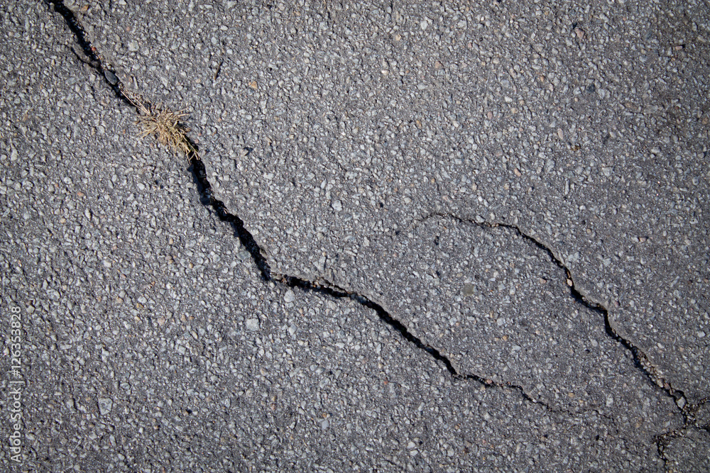 Obraz premium Fissure in asphalt