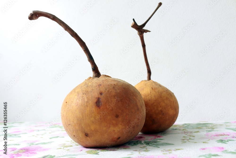 Two big santols with white and flower background