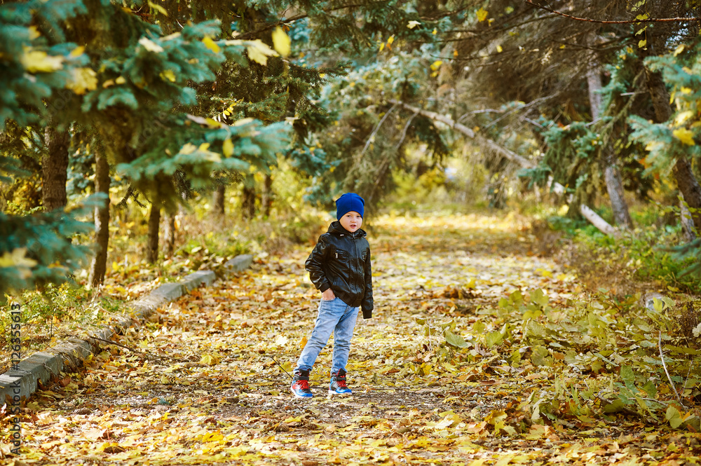 Beautiful funny boy playing in autumn Park Beautiful funny boy playing in autumn Park