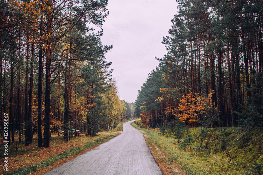 Autumn in Poland