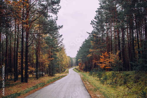 Obraz na płótnie Autumn in Poland w salonie