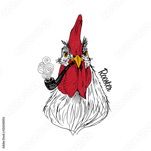 Rooster cartoon