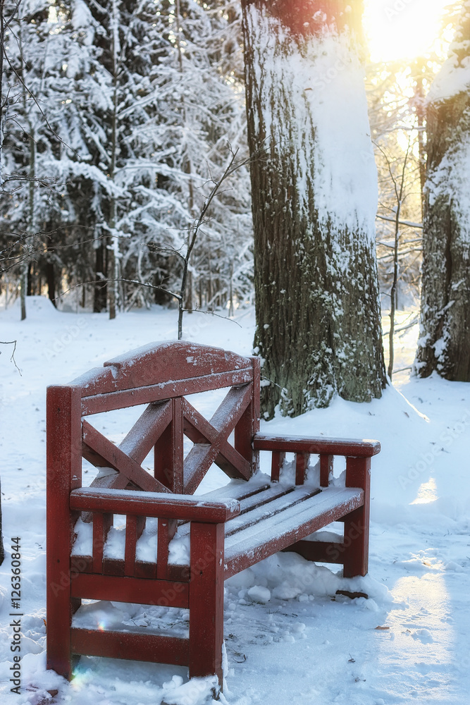 wood bench in winter