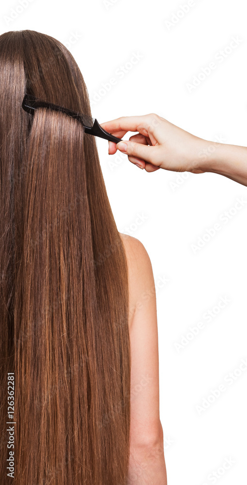 Fototapeta premium Barber's hand combing her long straight hair isolated .