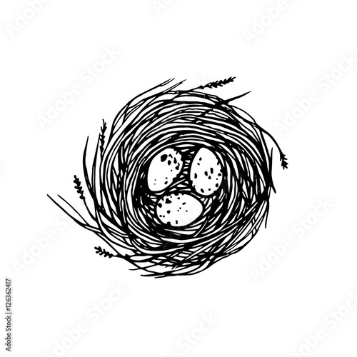 Hand drawn nest illustration