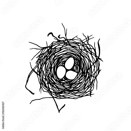 Hand drawn nest illustration