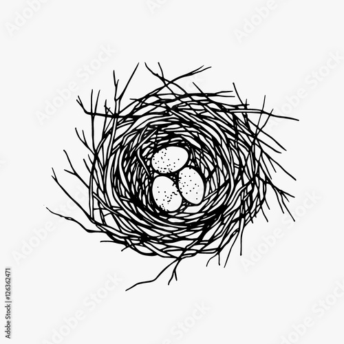 Hand drawn nest illustration photo