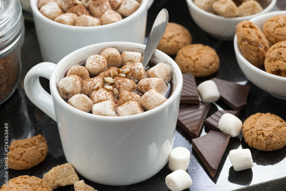 cocoa with marshmallows and cookies, closeup cocoa with marshmallows and cookies, closeup
