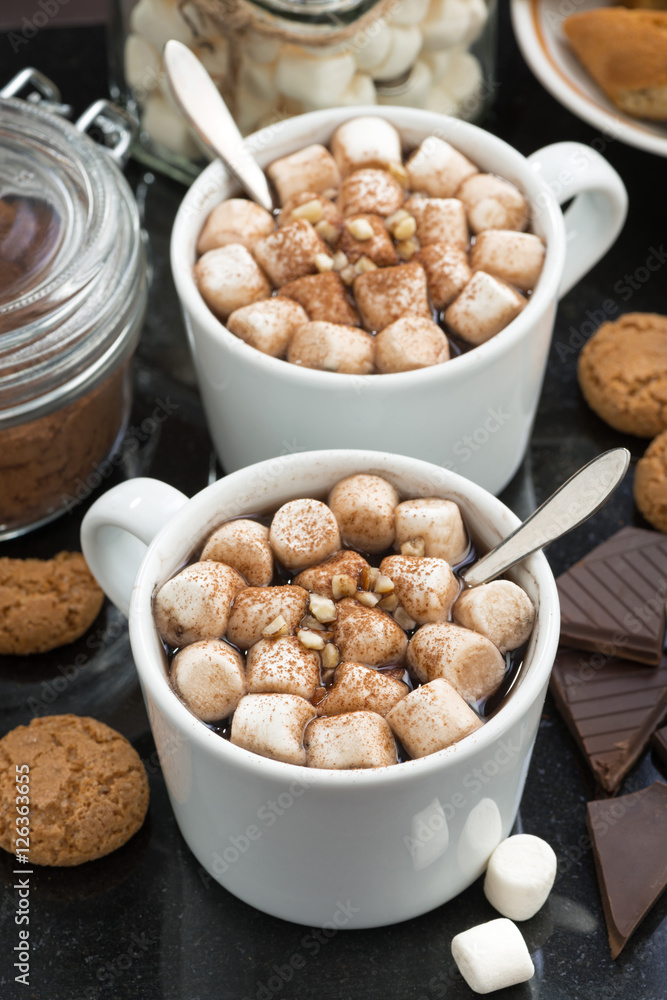 delicious cocoa with marshmallow and cookies, vertical, top view delicious cocoa with marshmallow and cookies, vertical, top view