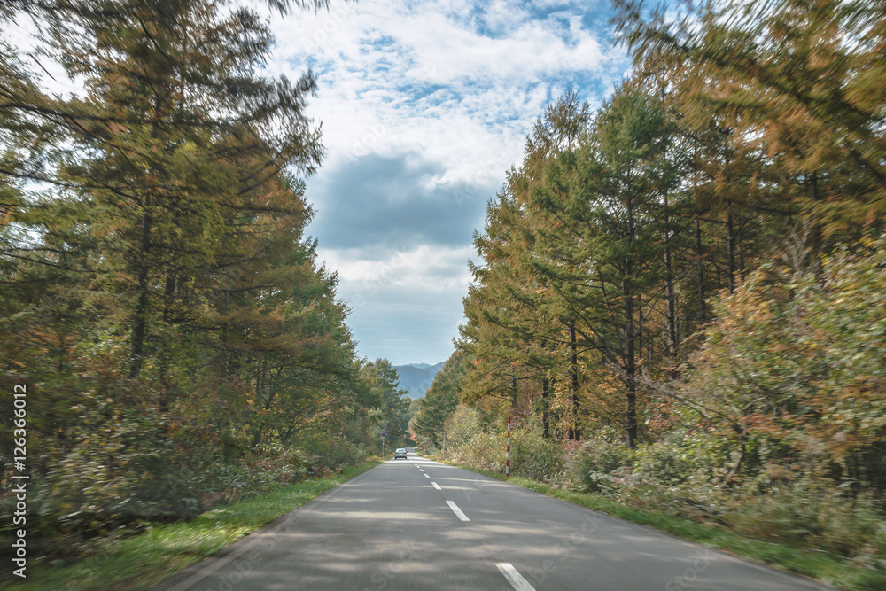 Obraz premium 磐梯吾妻レークライン