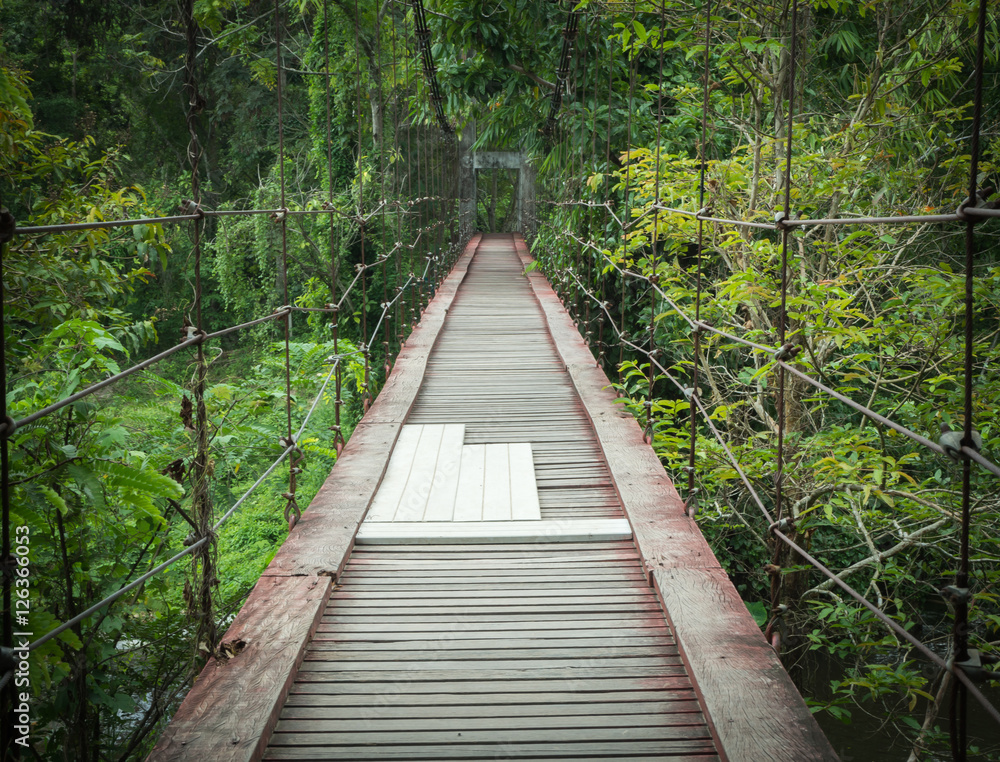 wood bridge gateway in forest