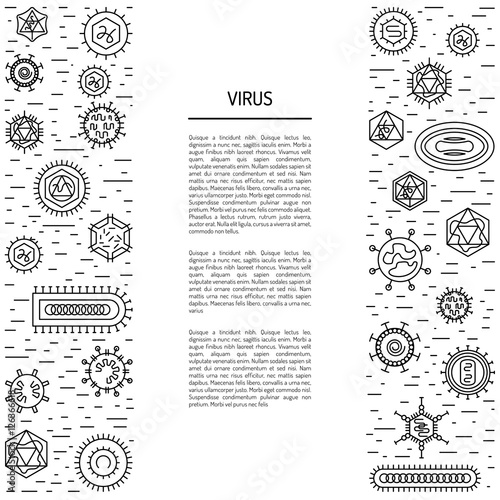 cells of viruses and bacteria