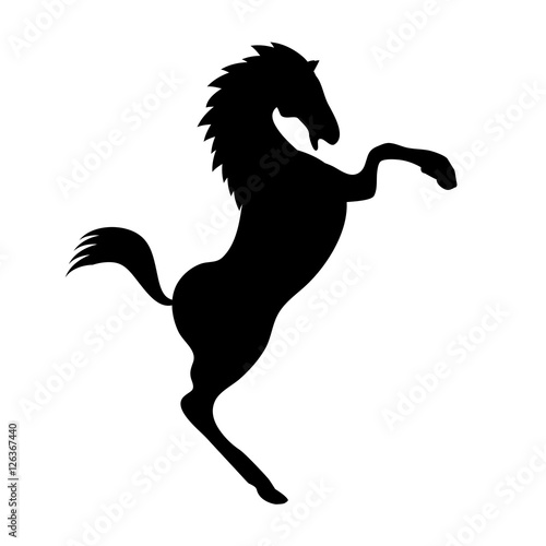 Fototapeta Naklejka Na Ścianę i Meble -  Silhouette of a horse, mustang, which reared