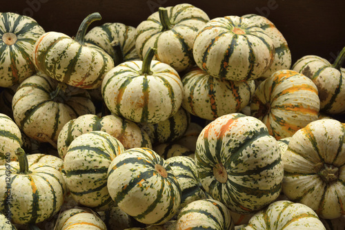 Small pumpkins at Halloween market.