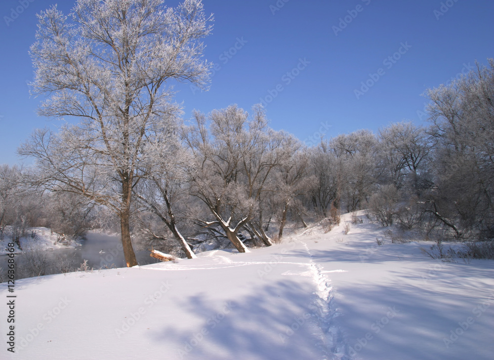 Fototapeta premium Foggy morning on the river