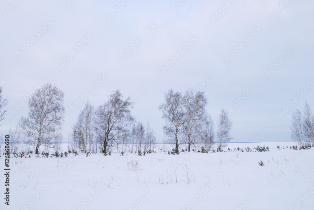 Winter walk in Sokolka Winter walk in Sokolka