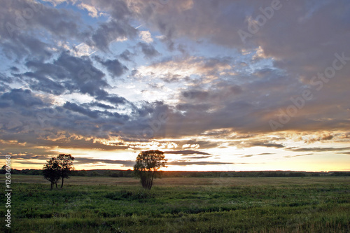 beautiful sunset in a field near the forest