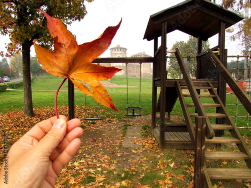 Foglia d'autunno - simbolo photo