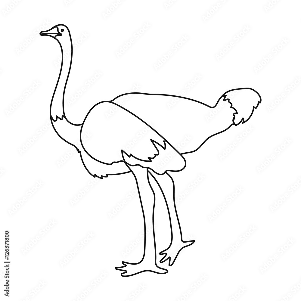 Ostrich icon in outline style isolated on white background. Bird symbol