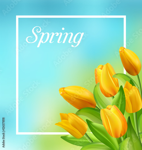 Spring Natural Frame with Yellow Tulips Flowers