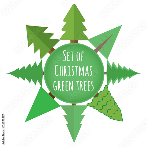 Set of Christmas green trees. Pine set in vector.