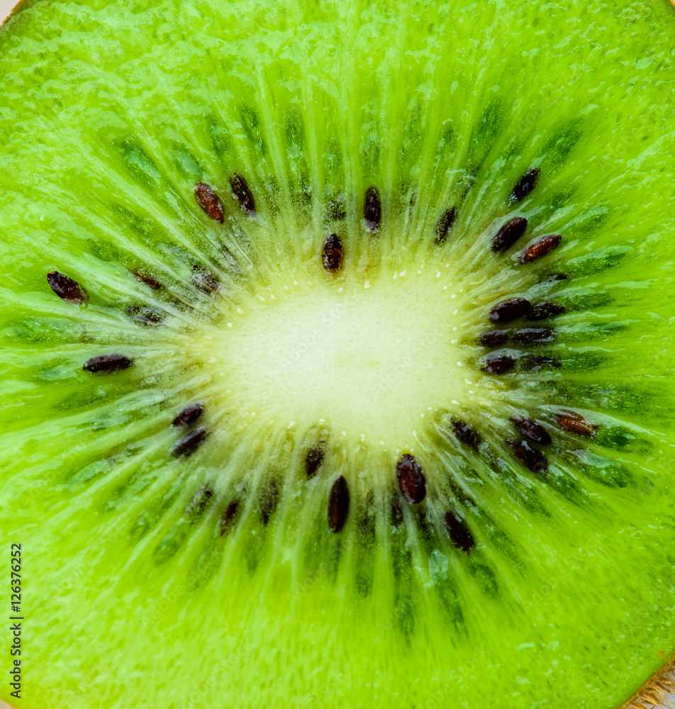 Slice of kiwi macro background texture